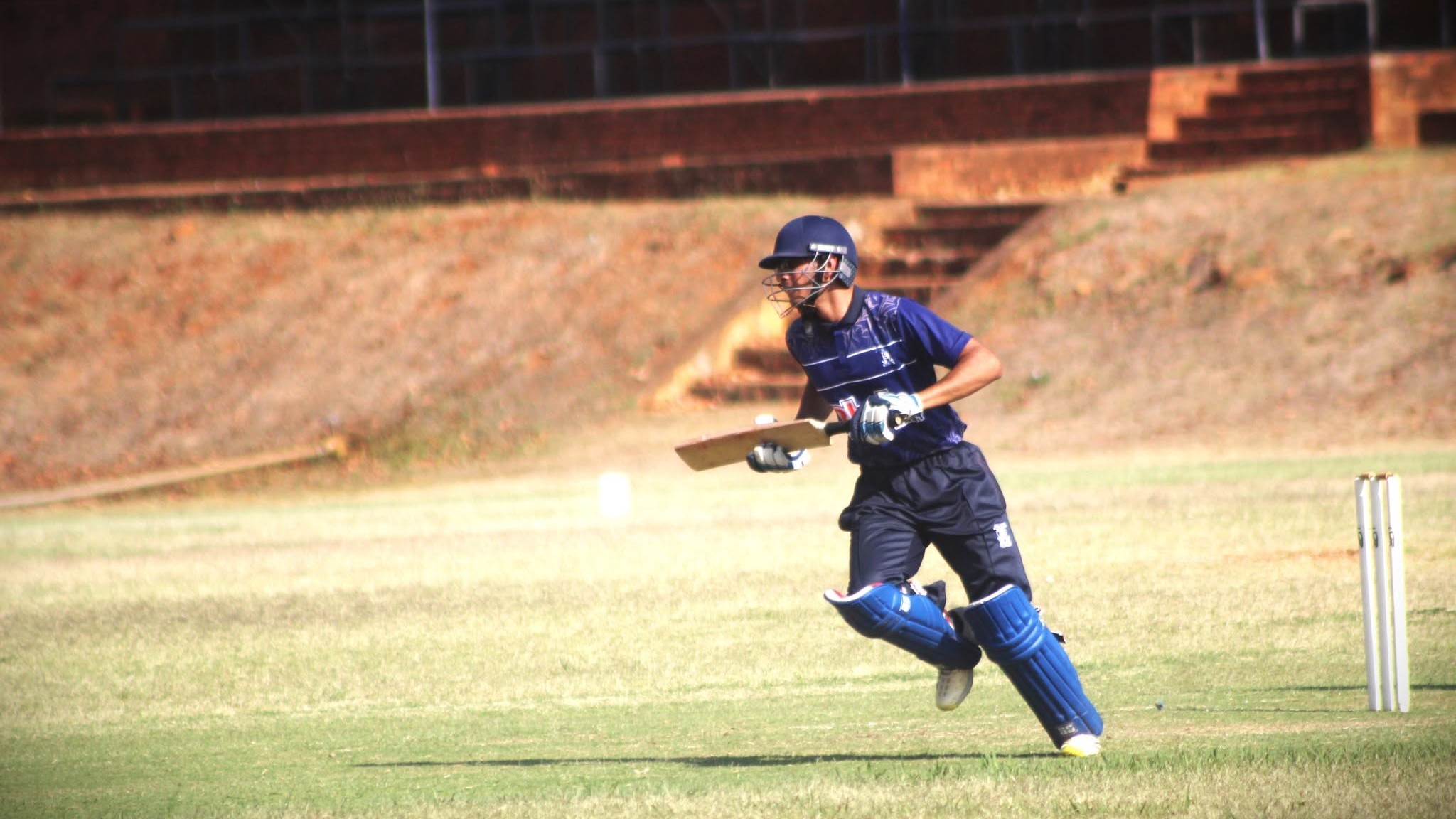 Cricket