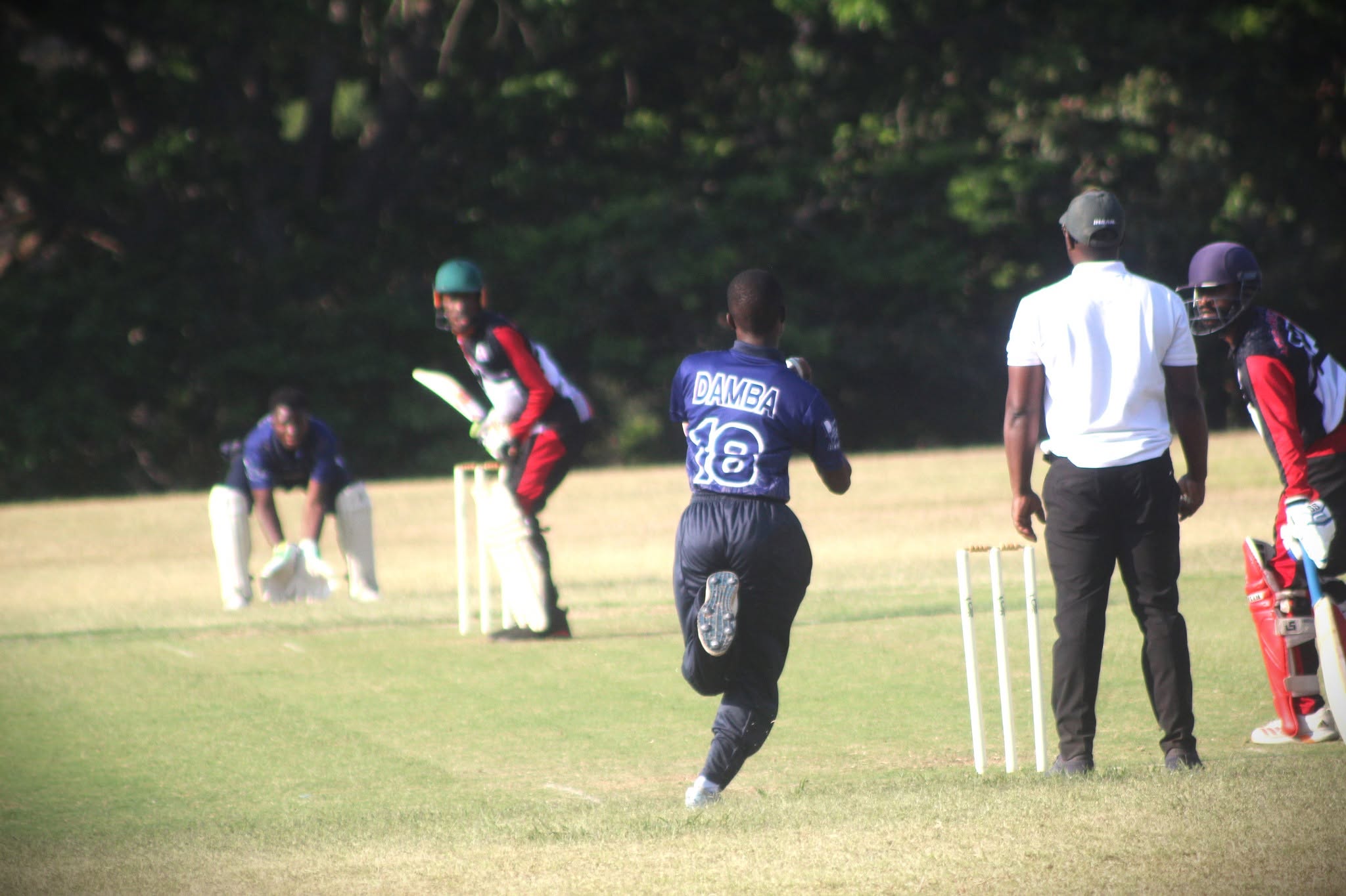 Cricket