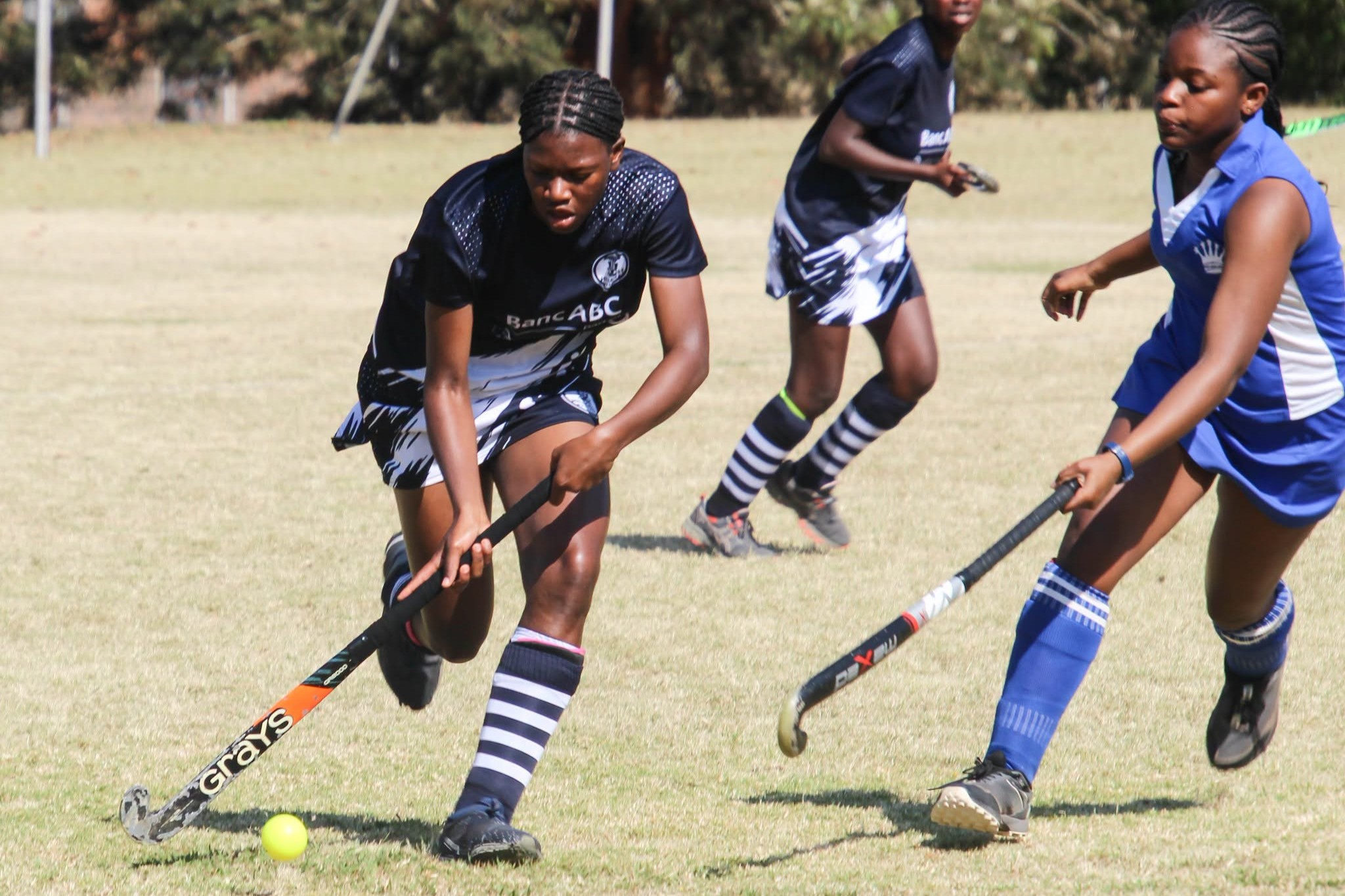 Sport and Culture